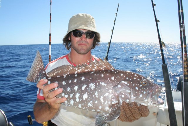 exy cod exy cod